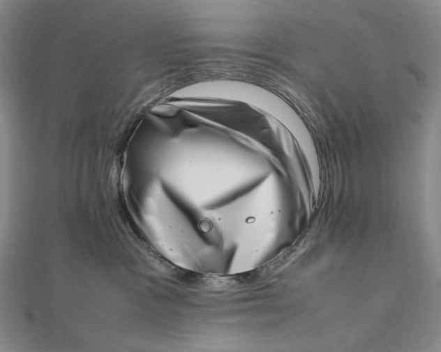 X0000112490333200908311437