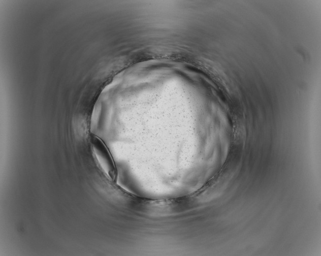 X0000112490335200908311437