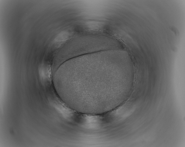 X0000112490336200908311437