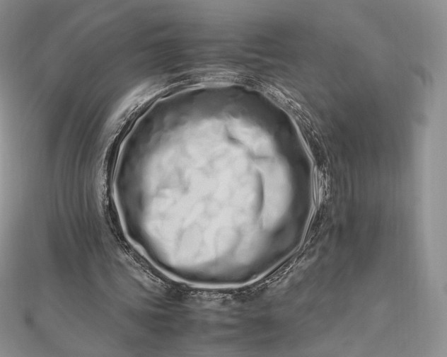 X0000112490339200908311436