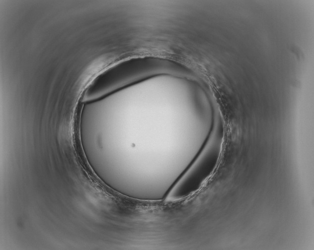 X0000112490340200908311436