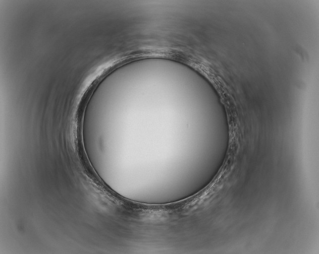 X0000112490342200908311436