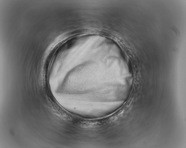 X0000112490343200908311436