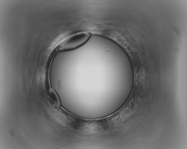 X0000112490344200908311436