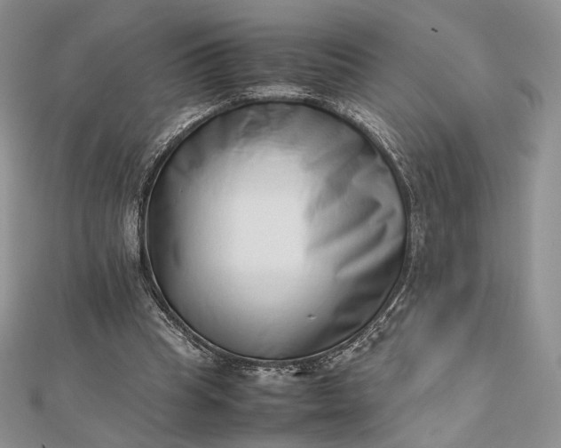 X0000112490345200908311436