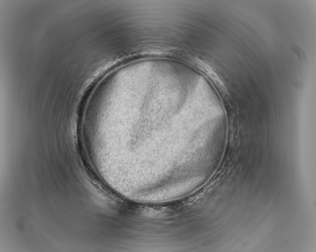 X0000112490346200908311436