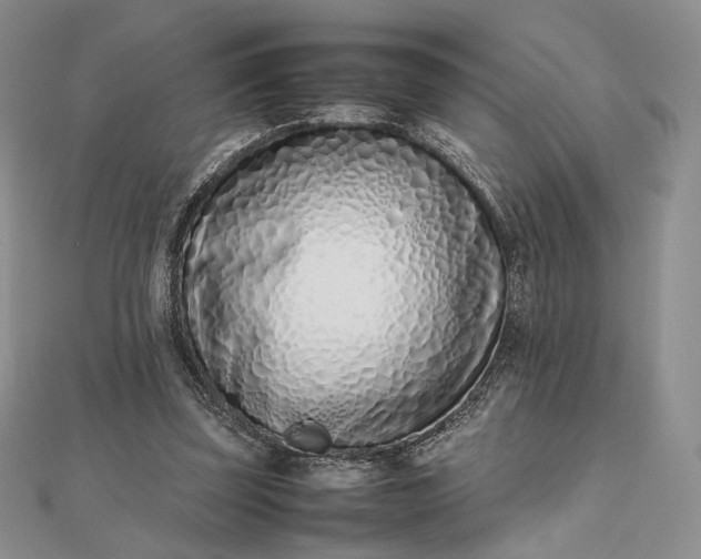 X0000112490347200908311436