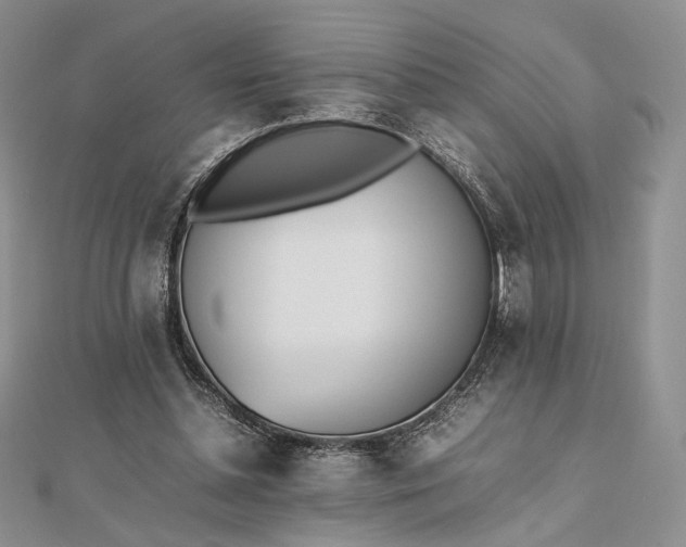 X0000112490348200908311436