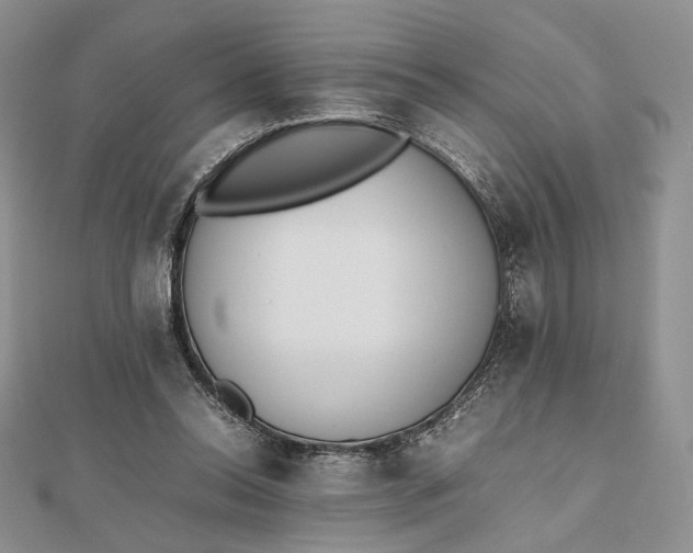 X0000112490350200908311436