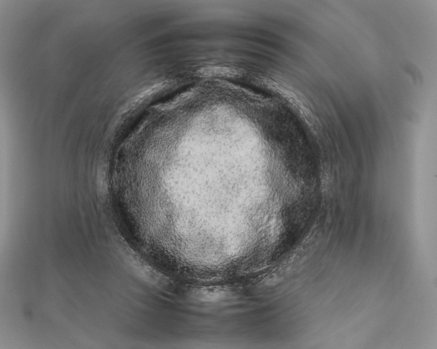 X0000112490353200908311436