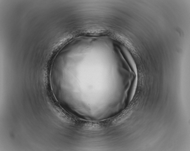 X0000112490354200908311436