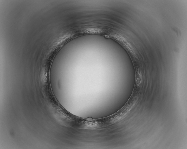 X0000112490355200908311436