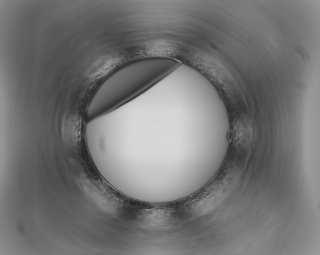 X0000112490356200908311436