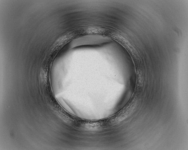 X0000112490357200908311436