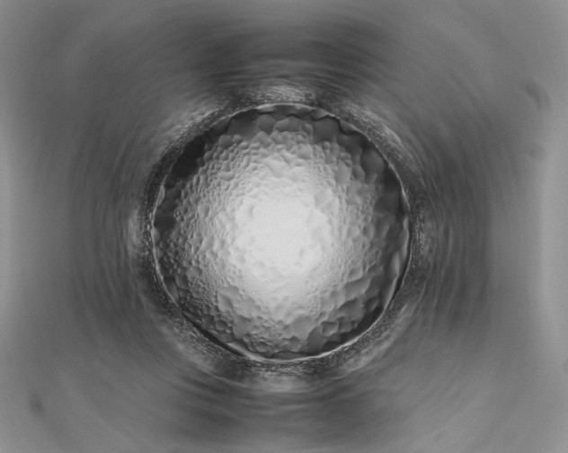 X0000112490359200908311436