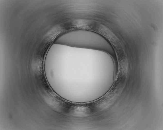 X0000112490360200908311436