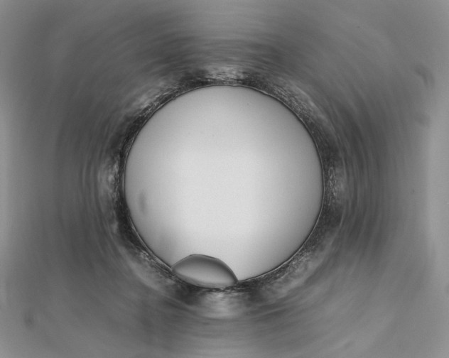 X0000112490364200908311437