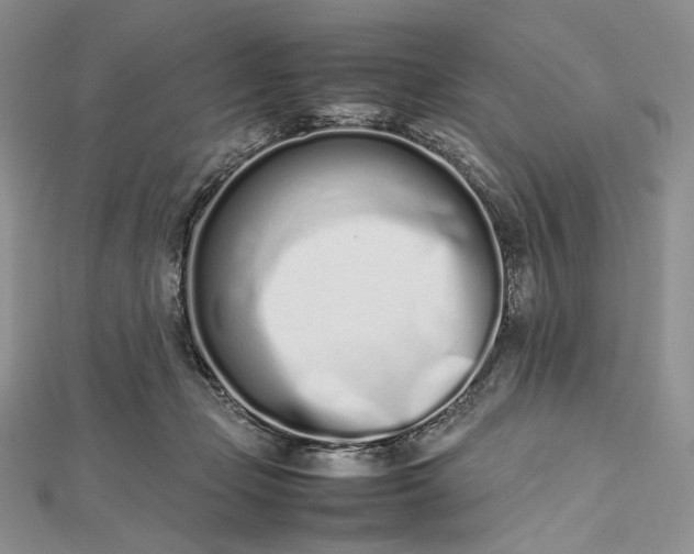 X0000112490365200908311437