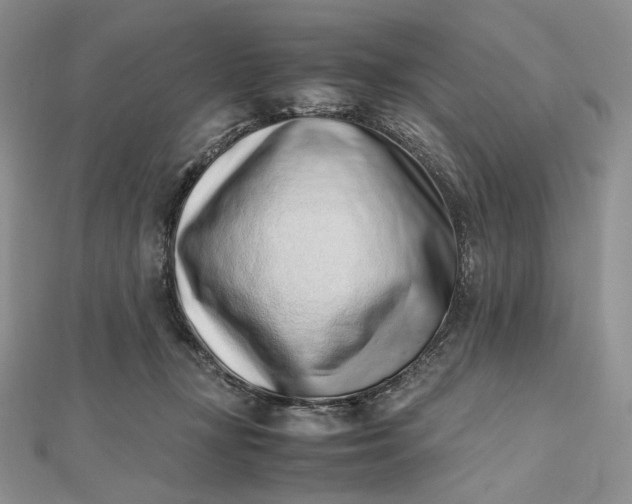 X0000112490367200908311437