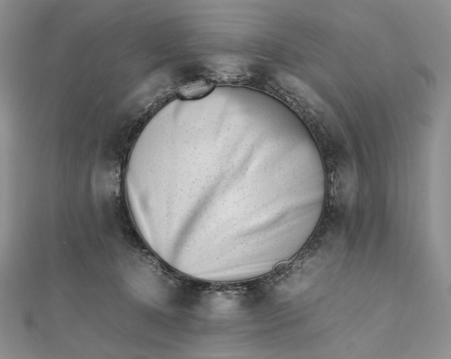 X0000112490368200908311437