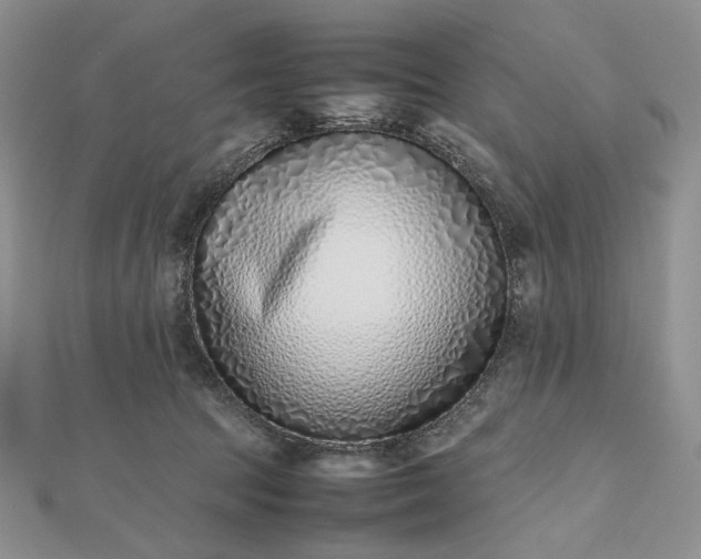 X0000112490369200908311437