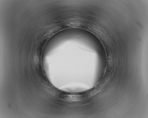 X0000112490371200908311437