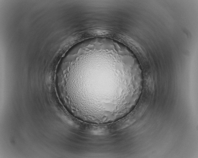 X0000112490373200908311437