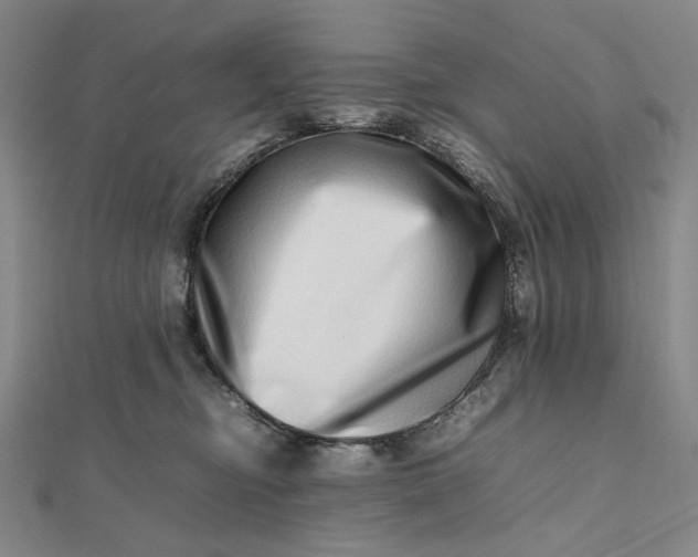 X0000112490374200908311437