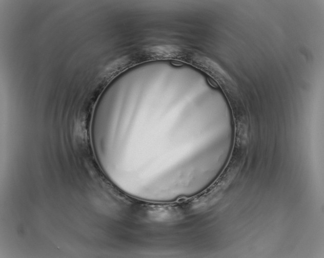 X0000112490377200908311437