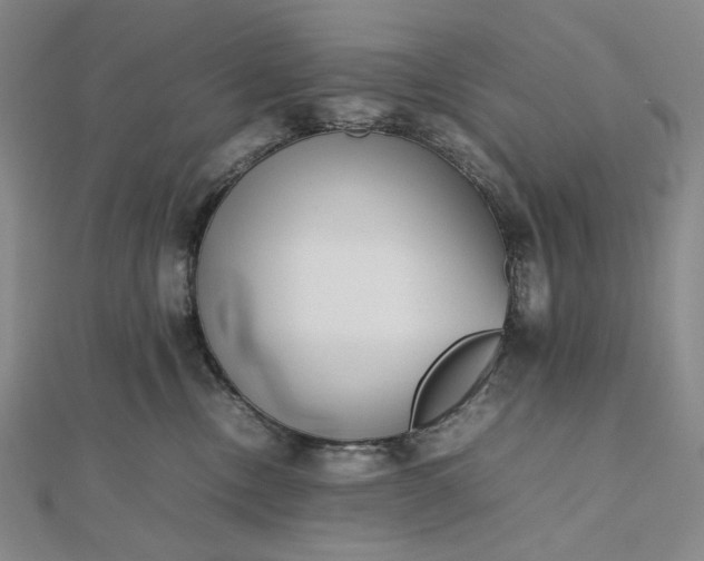 X0000112490378200908311437