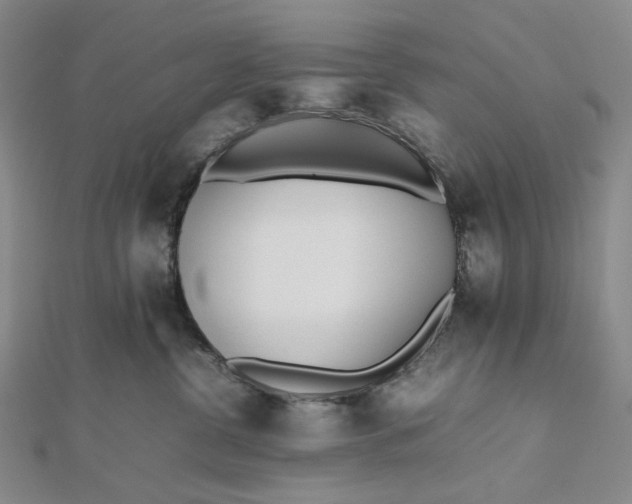 X0000112490380200908311437