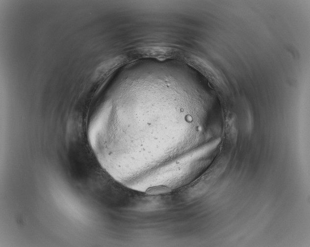 X0000112490381200908311437