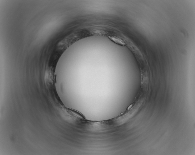 X0000112490382200908311437