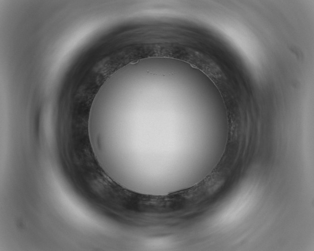 X0000112490383200908311437