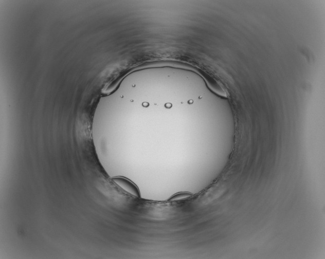 X0000112490384200908311437