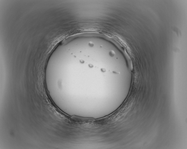 X0000112490385200908311436