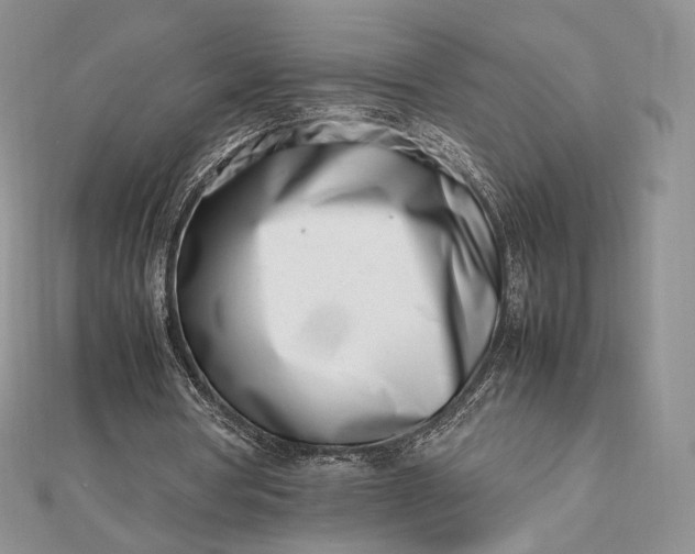 X0000112490386200908311436