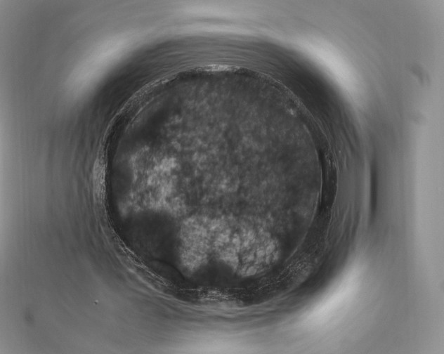 X0000112490387200908311436