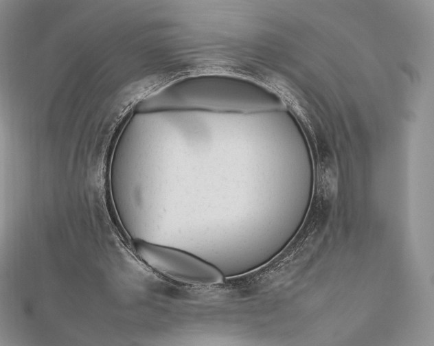 X0000112490389200908311436