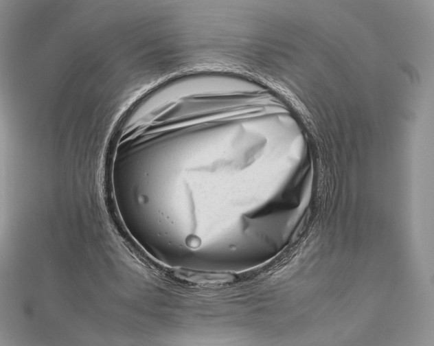 X0000112490391200908311436