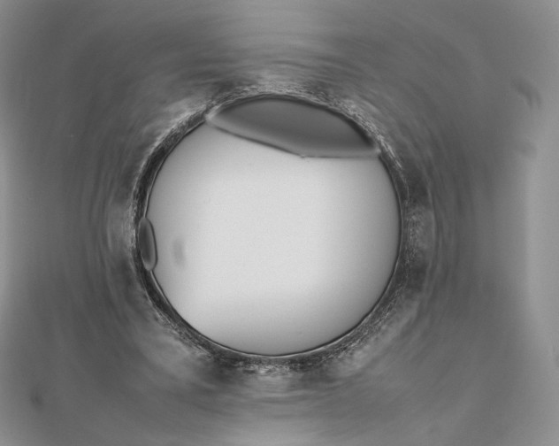 X0000112490395200908311436