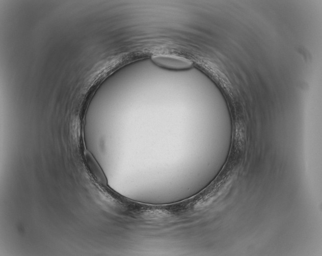 X0000112490397200908311436