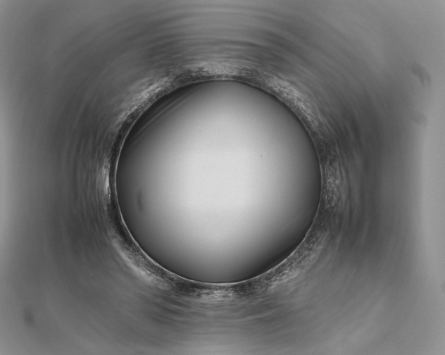 X0000112490398200908311436