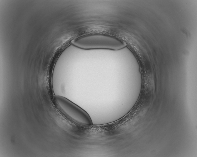 X0000112490399200908311436