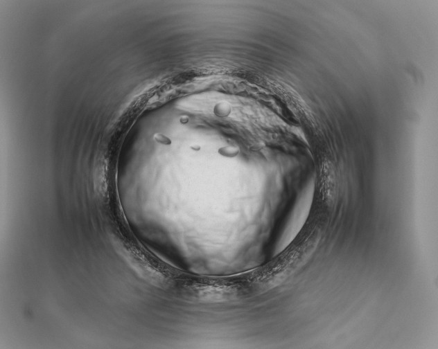 X0000112490400200908311436