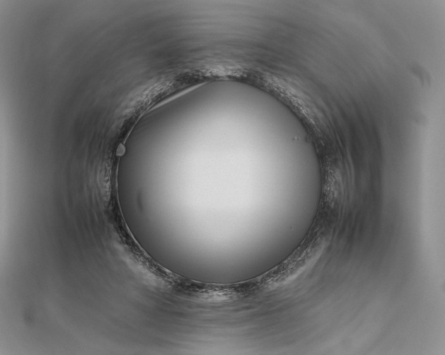 X0000112490402200908311436