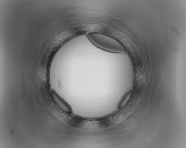 X0000112490403200908311436