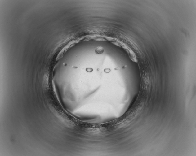 X0000112490404200908311436