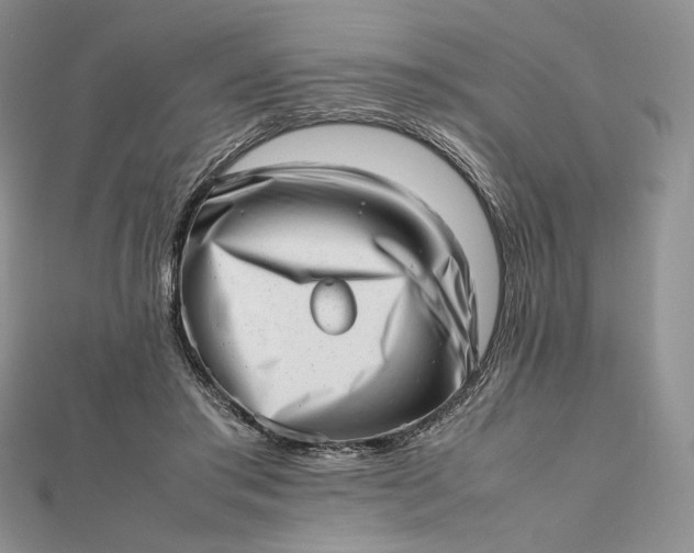 X0000112490405200908311436