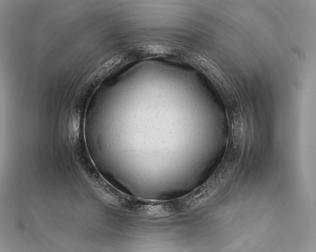 X0000112490406200908311436